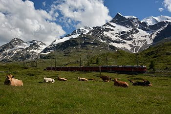 Rhétská železnice poblíž Bernina passo