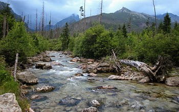 Tatry