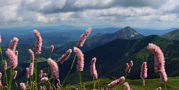 Velký Rozsutec - Malá Fatra