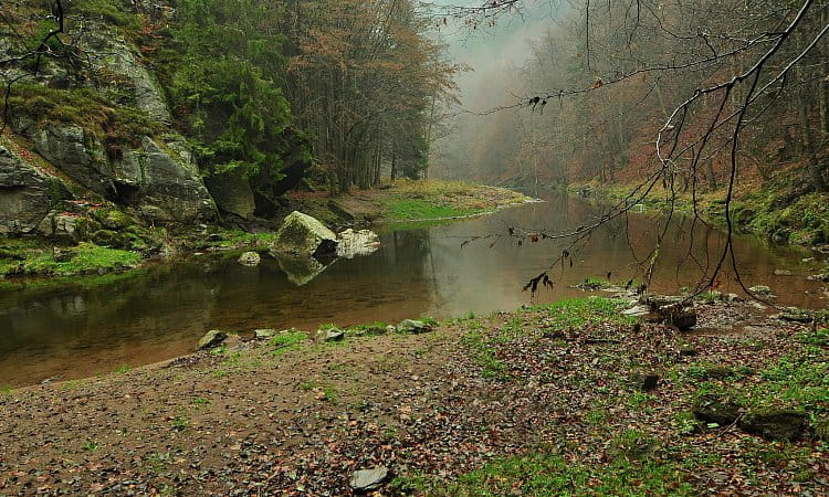 Podvečer u Jizery