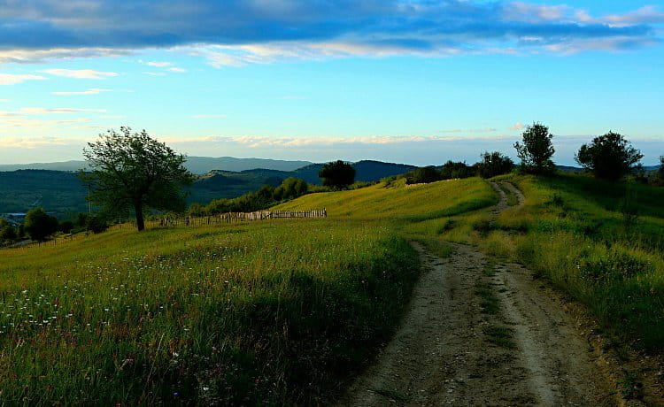 Ráno nad loukou