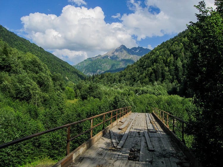 Cesta do divočiny