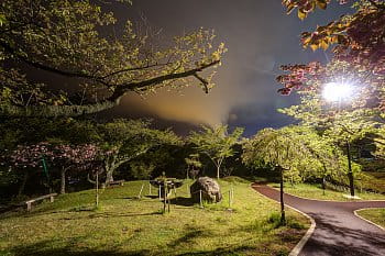 Noční Japonská Zahrada