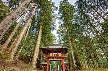 Nikko