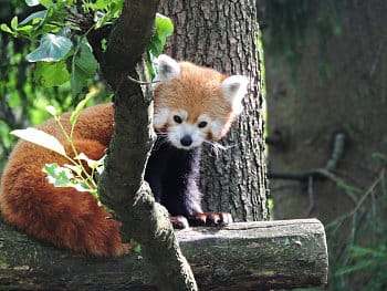 Zoo Ljubljana