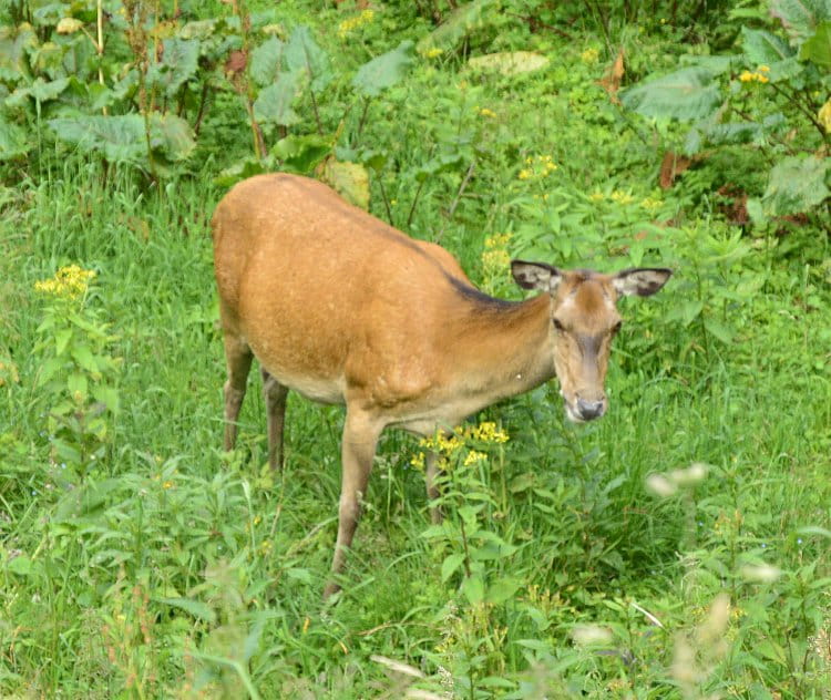 Setkání