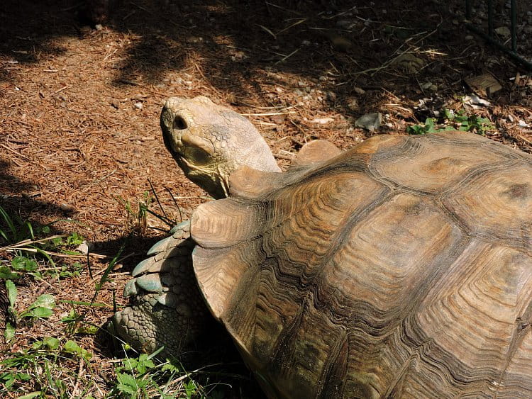 Zoo Ljubljana 2