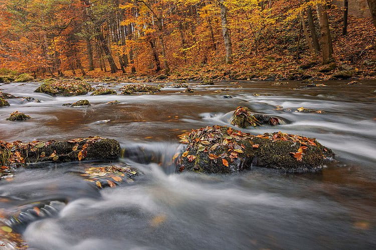 Podzimní řeka