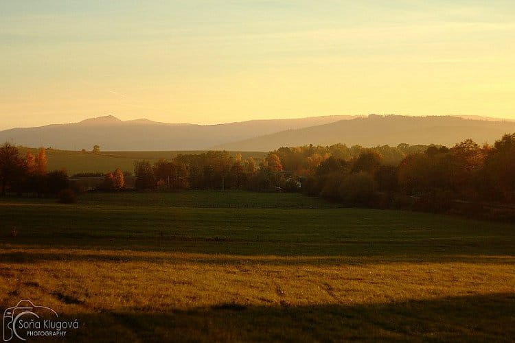 Ostrý ve hře světel