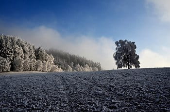 -15°C