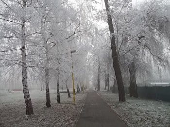 Zima v parku