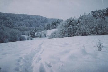 Rakovec - Slovensko 2005