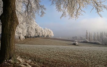 lednova krajina u Josefova