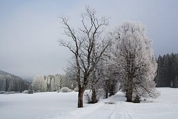 Šumavská