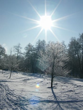 zimní slunce