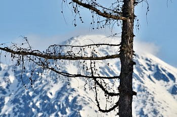 Vysoké Tatry