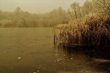 rybník Homolka