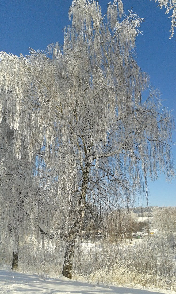 Šumava