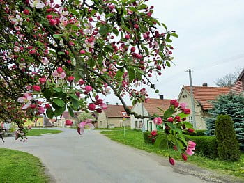 Náves v Hradištku u Sadské