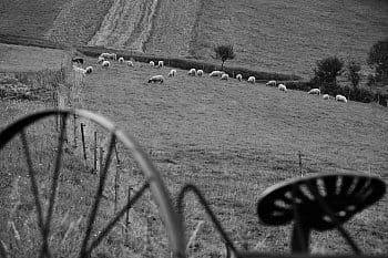 Kopanice-tak se u nás žije