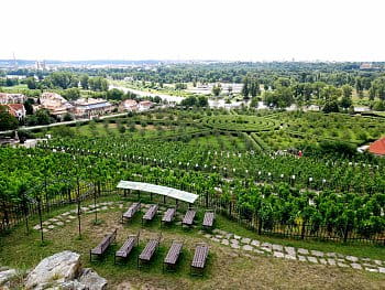 Bludiště