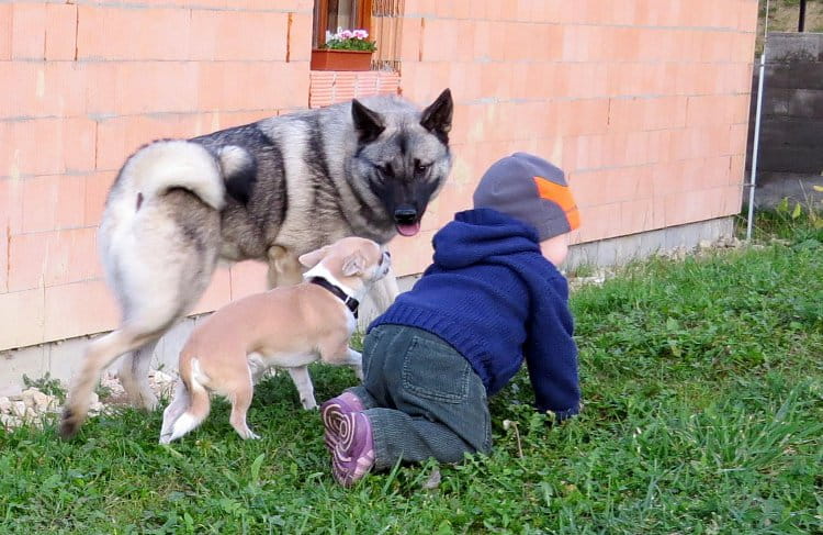 jdeme se proběhnout