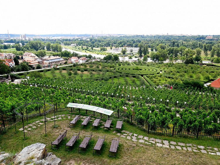 Bludiště