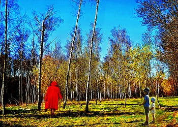 začalo jaro a v lese můžeme potkat Červenou Karkulku a nebo Jeníčka a Mařenku...
