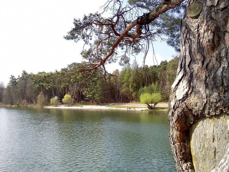 Šídlovský rybník.