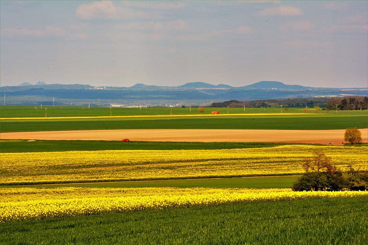 Las Líneas del Campo