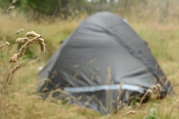 Jednou uprostřed města uprostřed lesa