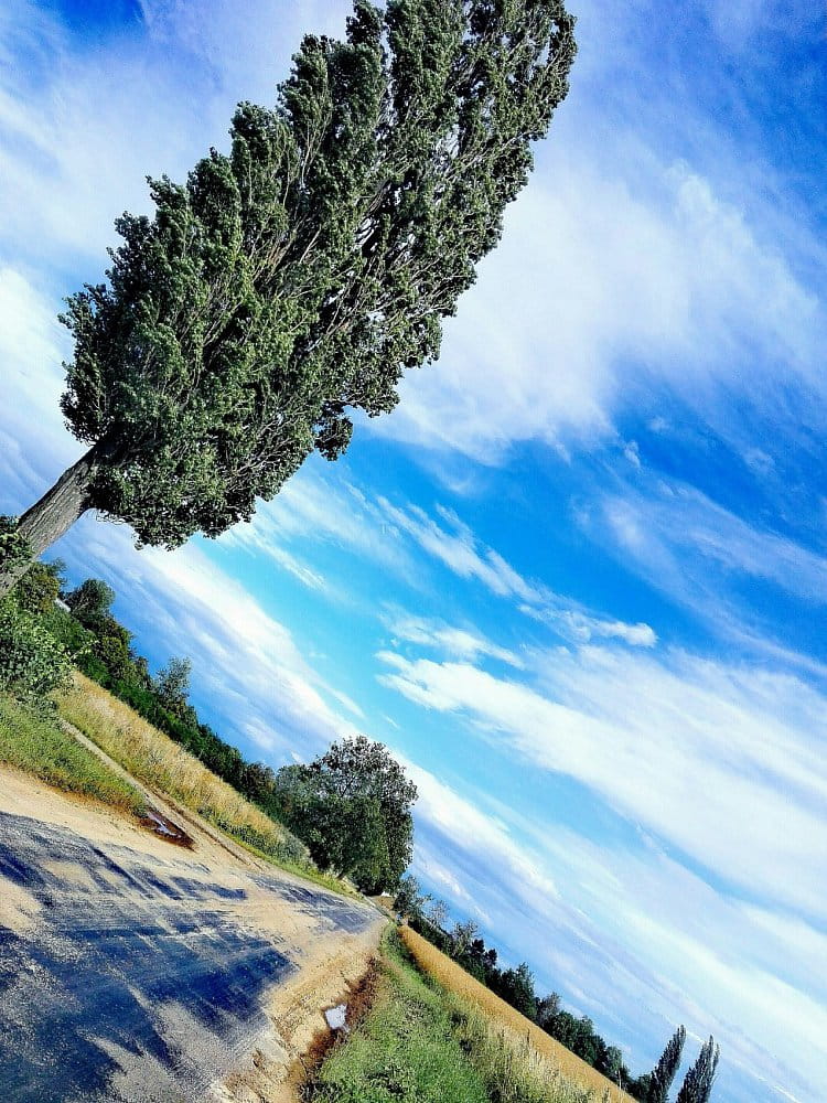 Sticky asphalt on the road - (lepivý asfalt na silnici)