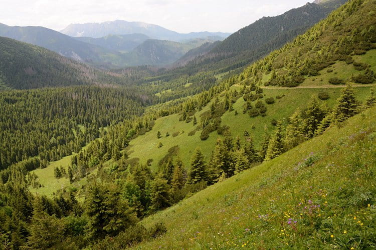 Tatry