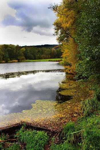 Šumava