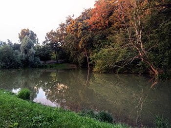 Zrcadlení.