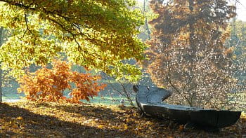 Podzim ve Stromovce