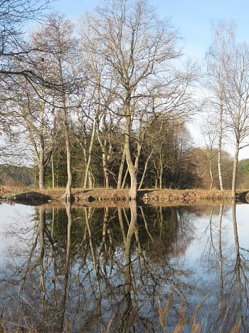 Zrcadlení - na hrázi rybníka Prostřední u Záboří