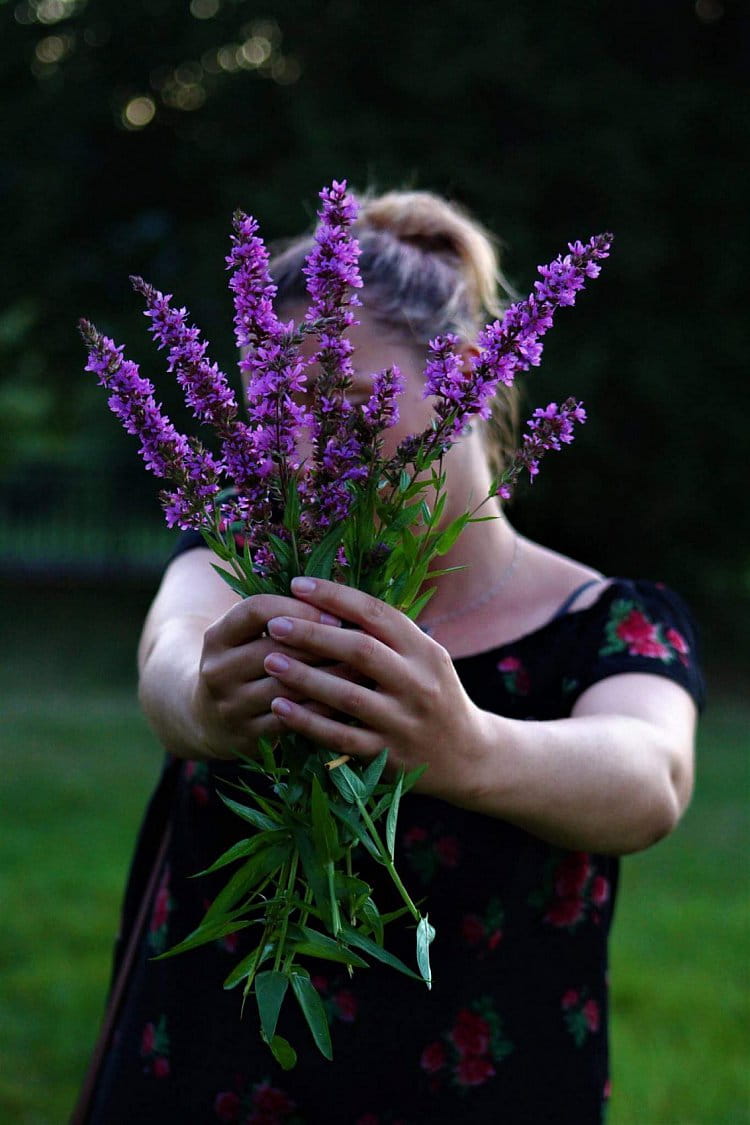 Fialová síla