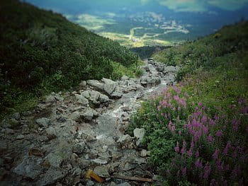 Túra na skalnaté pleso