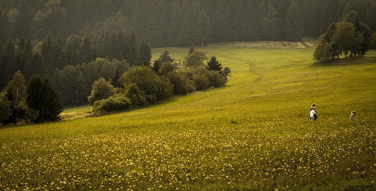 Vařákovy paseky