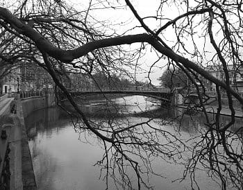 Most mezi větvemi