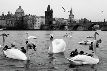 Praha