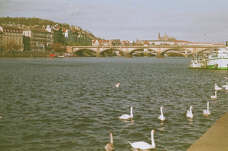 analog a Praha