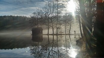 ráno u rybníka