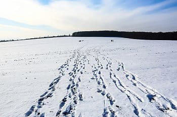 Kroky do neznáma