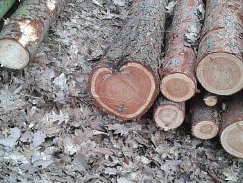Dřevěné srdce