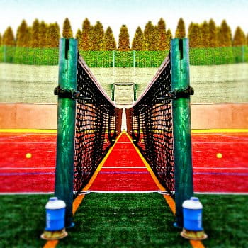 Tenis