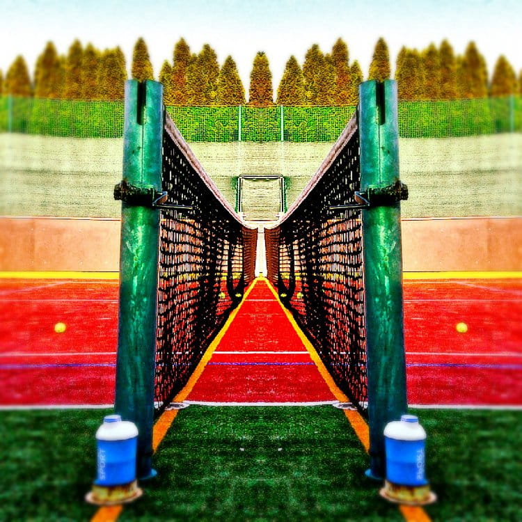 Tenis