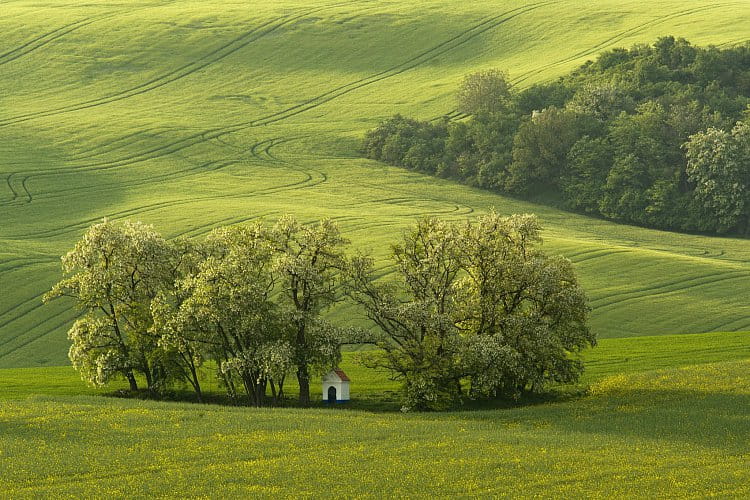 Svatá Barborka