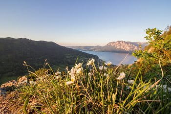 jezero attersee